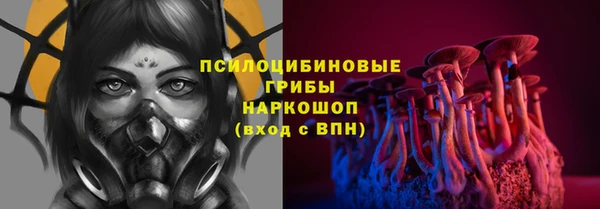 тгк Ельня