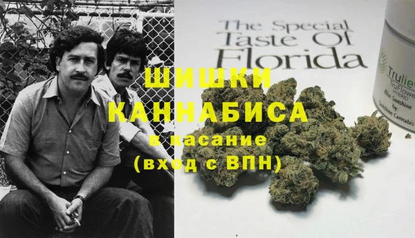 PSILOCYBIN Армянск