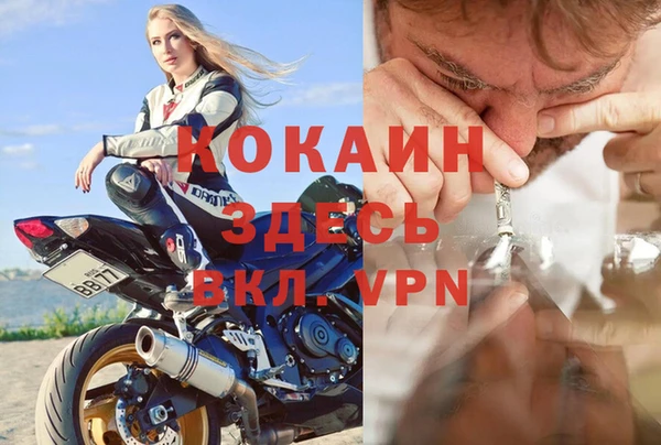 трава Арсеньев