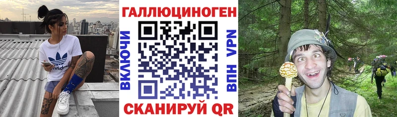blacksprut зеркало  сколько стоит  Снежинск  Псилоцибиновые грибы мухоморы 